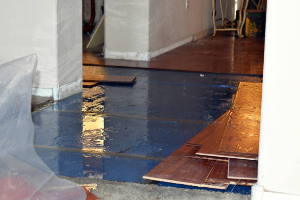 Professional Water Damage Restoration technician working in Cathlamet, WA